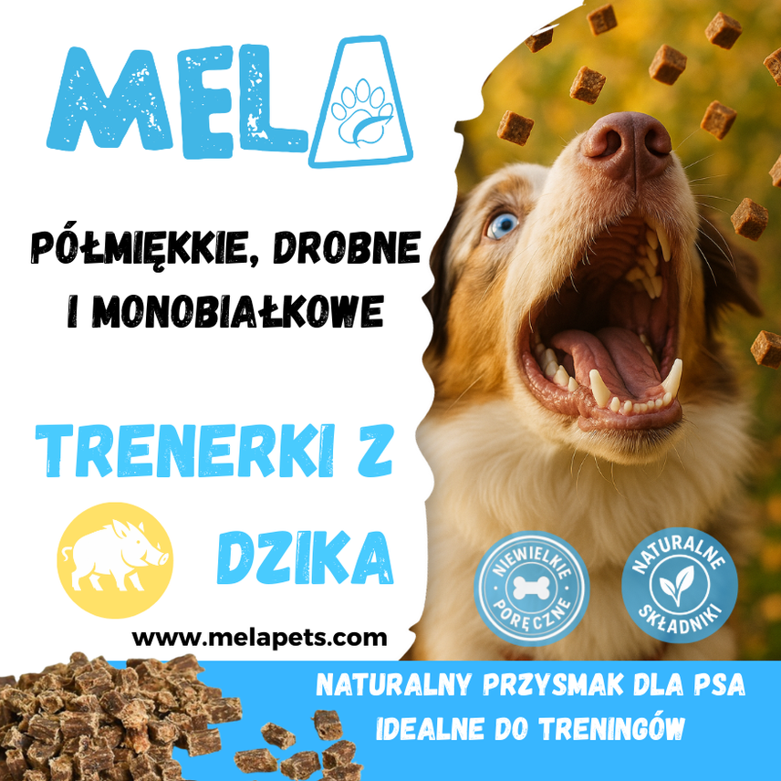 Trenerki z dzika