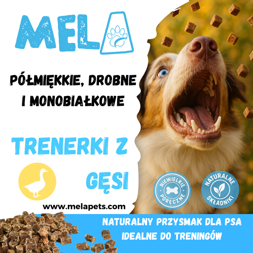 Trenerki z gęsi
