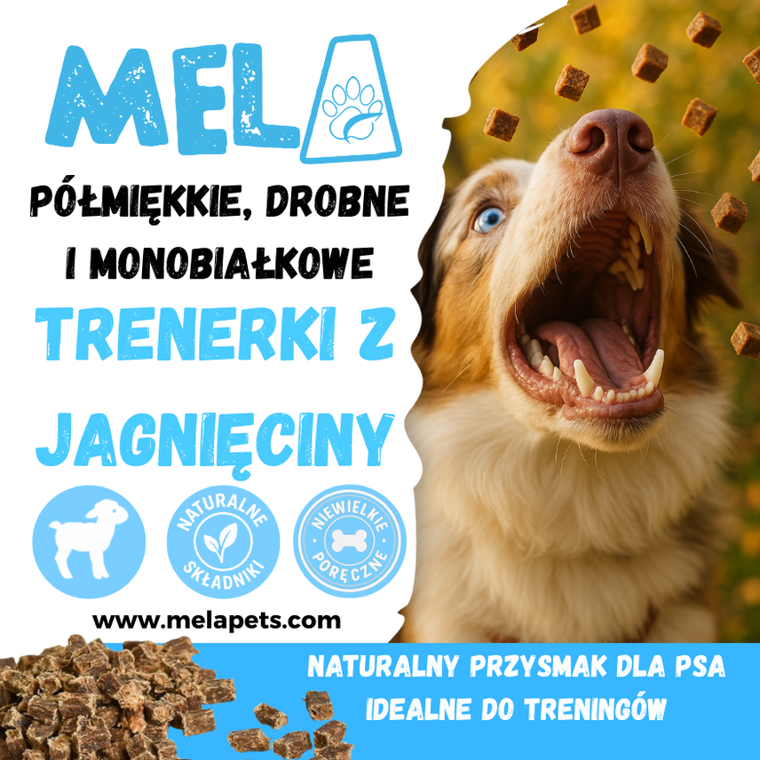 Trenerki z jagnięciny